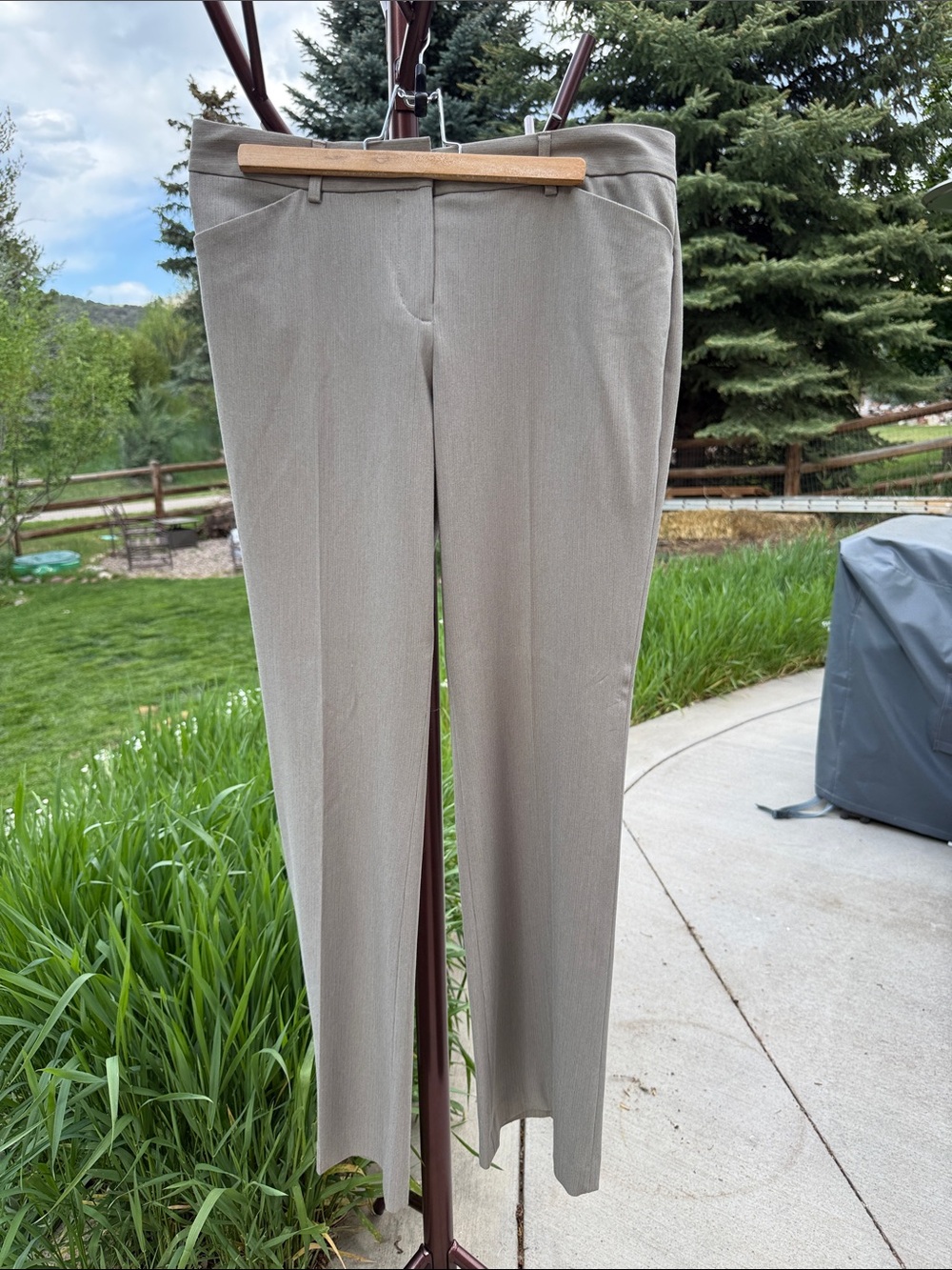 Express Women's Taupe stripe Dress Pants